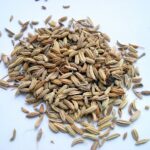 fennel fruit, fennel, sweet fennel-233976.jpg